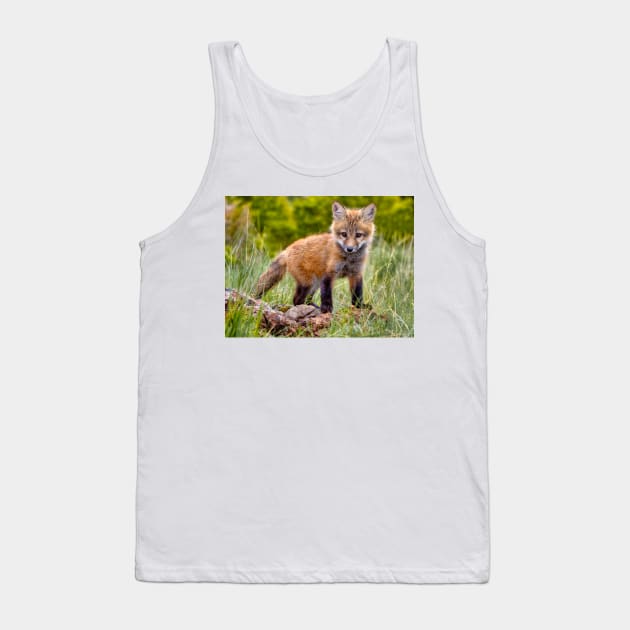 Red Fox Kit in Forest Tank Top by jforno